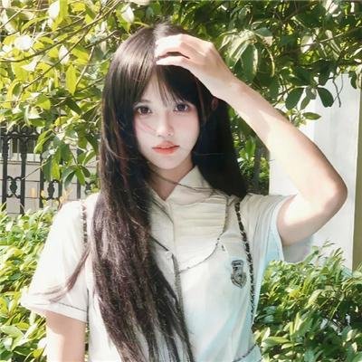 王朝的陷落