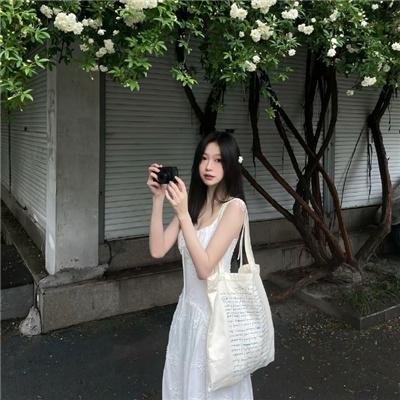 遗失的王国