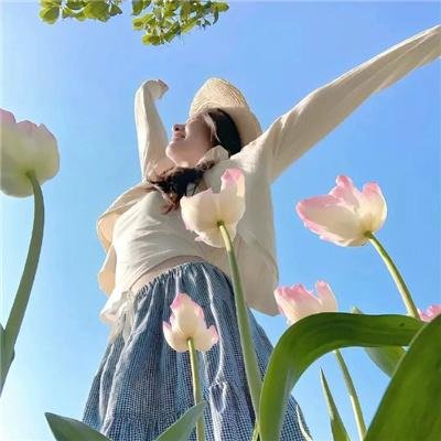 花月佳期电影版